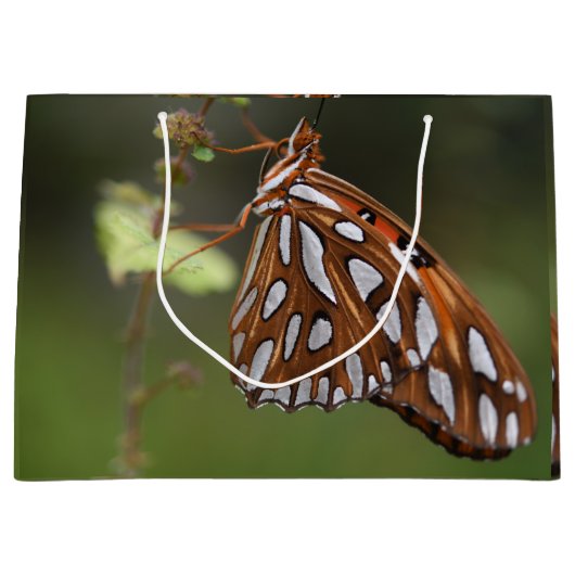 Oranje en witte gepotte Golfvlindergroene Golf Groot Cadeauzakje (Voorkant)