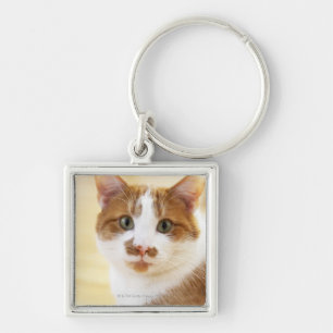 oranje en witte kat die naar camera kijkt sleutelhanger