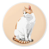 Oranje en witte kat keramische knop (Voorkant)