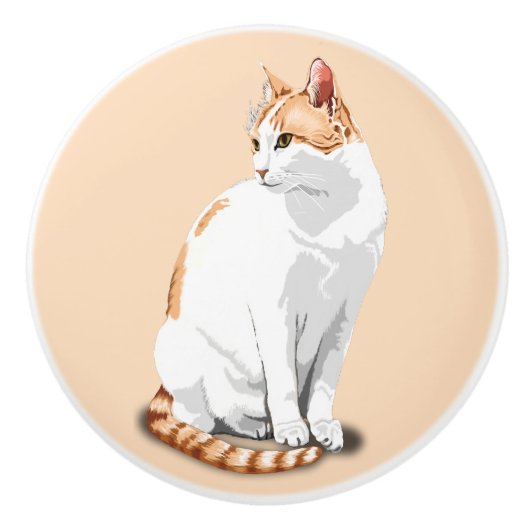 Oranje en witte kat keramische knop (Voorkant)