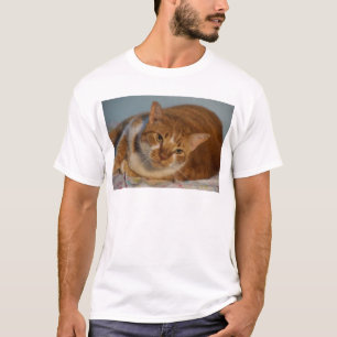 Oranje en witte kat t-shirt