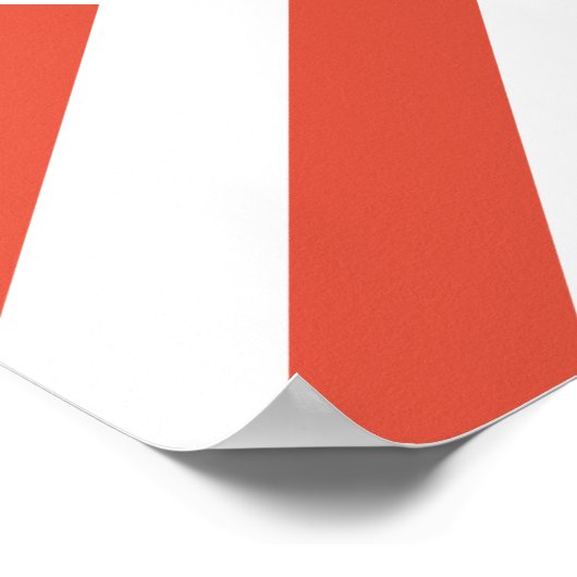 Oranje en witte kazen poster (Hoek)