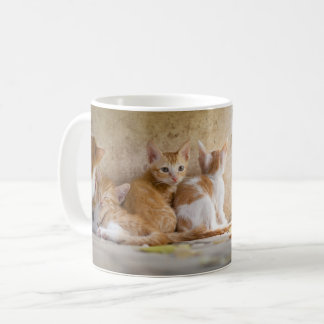 Oranje en witte tabby poesje/Voeg een foto van je  Koffiemok