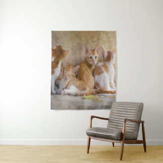Oranje en witte tabby poesje/Voeg een foto van je  Wandkleed