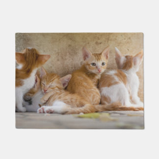 Oranje en witte tabby poesje/Voeg een foto van uw  Deurmat