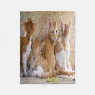 Oranje en witte tabby poesje/Voeg een foto van uw Fleece Deken