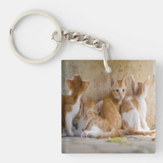 Oranje en witte tabby poesje/Voeg een foto van uw  Sleutelhanger