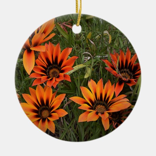 Oranje en zwart Gazanias Round Ornament (Voorkant)