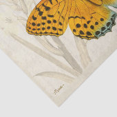 Oranje- en zwart-witpapier Tissuepapier (Detail)