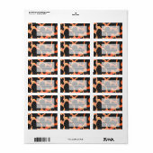 Oranje en zwart Zebra monogram Etiket (Full Sheet)