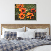 Oranje en zwarte Gazanias Canvas (Insitu (Slaapkamer))