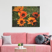 Oranje en zwarte Gazanias Canvas (Insitu (Woonkamer))
