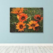 Oranje en zwarte Gazanias Canvas Afdruk (Insitu (Houten vloer))