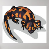 Oranje en zwarte hagedis poster (Voorkant)