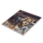 Oranje en zwarte hond tegeltje (Zijkant)