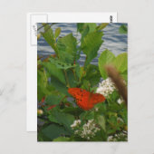 Oranje en zwarte vlinder bij het meer briefkaart (Voorkant / Achterkant)