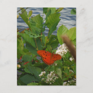 Oranje en zwarte vlinder bij het meer briefkaart