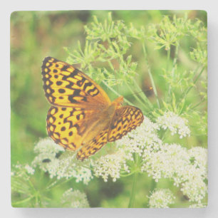 Oranje en zwarte vlinder en witte bloemen stenen onderzetter