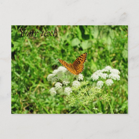 Oranje en zwarte vlinder met jouw tekst briefkaart (Voorkant)
