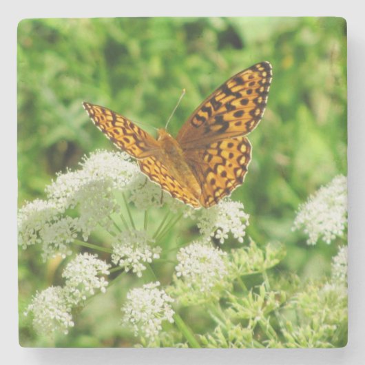 Oranje en zwarte vlinder met witte bloemen stenen onderzetter (Voorkant)