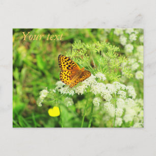 Oranje en zwarte vlinderwitte bloemen briefkaart