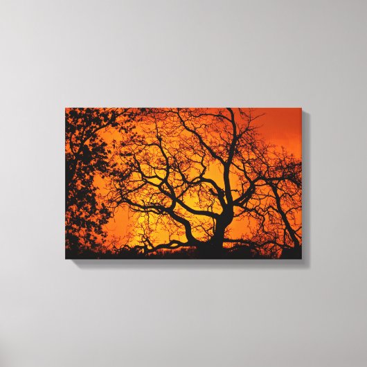 Oranje en zwarte zonsondergang canvas afdruk (Voorkant)