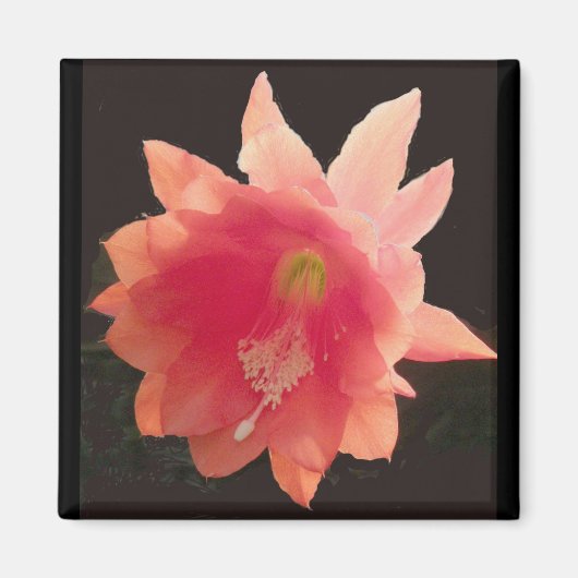 Oranje Epifyte Magnet (Voorkant)