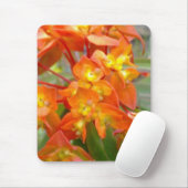 Oranje Euphorbia Mousepad Muismat (Met muis)