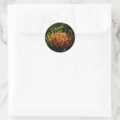 ORANJE EXOTISCHE CACTUSBLOEM RONDE STICKER (Tas)