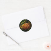 ORANJE EXOTISCHE CACTUSBLOEM RONDE STICKER (Envelop)