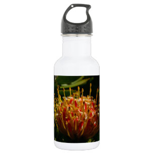ORANJE EXOTISCHE CACTUSBLOEM WATERFLES