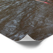 Oranje Flamingos Foto Poster (Hoek)