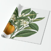  Oranje flessenpatroon op wit Cadeaupapier (Uitgerold)