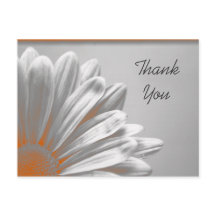 Oranje Floral Belangrijkste kenmerken