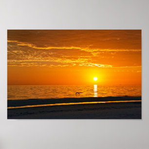 Oranje Florida Sunset Poster