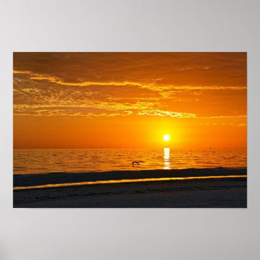 Oranje Florida Zonsondergang Poster (Voorkant)