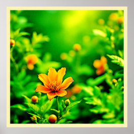 Oranje Flower Bokeh Sunny Poster