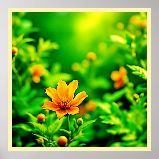 Oranje Flower Bokeh Sunny Poster (Voorkant)