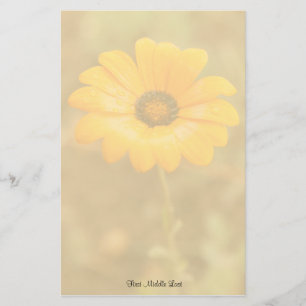 Oranje foto van de Afrikaanse Daisy-foto van de l Briefpapier