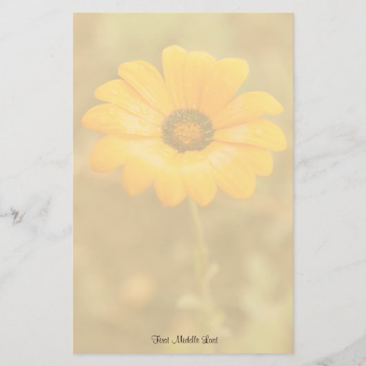 Oranje  foto van de Afrikaanse Daisy-foto van de l Briefpapier (Voorkant)
