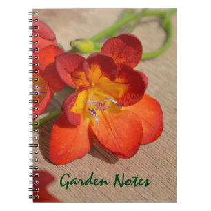 Oranje Freesia Flower Notitieboek