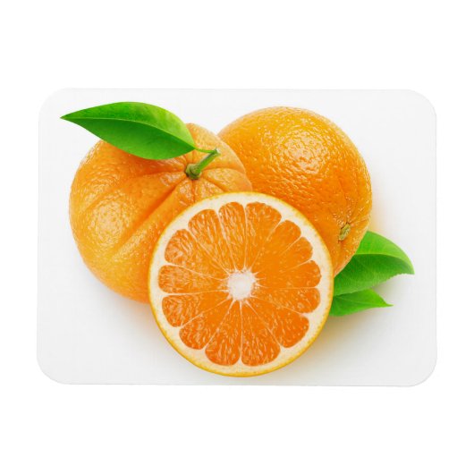 Oranje fruit magneet (Horizontaal)
