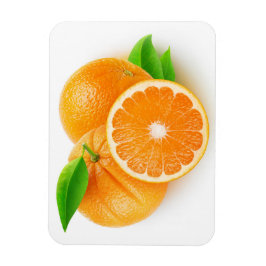 Oranje fruit magneet