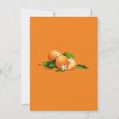 Oranje Fruit Zomerfeest Kaart (Achterkant)