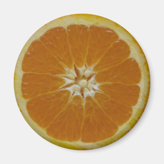 Oranje fruitplakmagneet magneet (Voorkant)