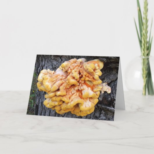 Oranje Fungus Kaart (Voorkant)