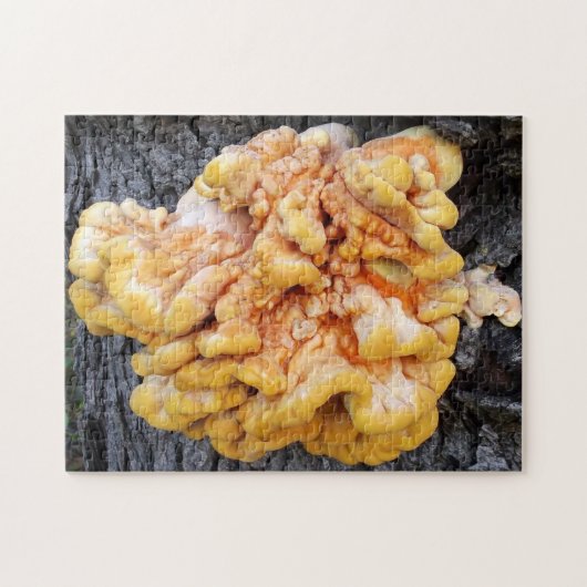Oranje Fungus Legpuzzel (Horizontaal)