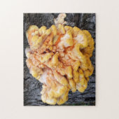 Oranje Fungus Legpuzzel (Verticaal)