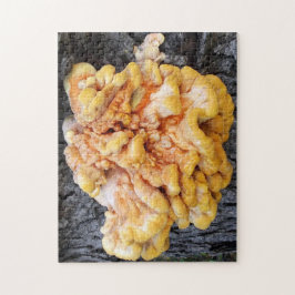 Oranje Fungus Legpuzzel