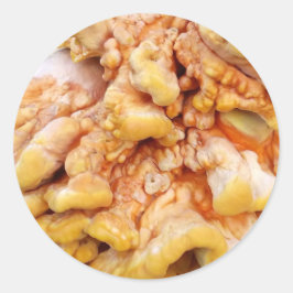 Oranje Fungus Ronde Sticker